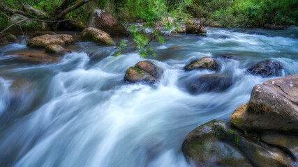 Fototapeta premium Superb view of summer: The fantastic Moot valley in Phong Nha National Park, Vietnam
