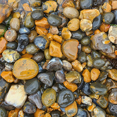 Wet Pebbles on Coastal Shoreline
