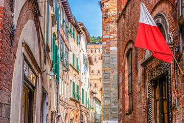 Medieval housing of Lucca and medieval Torre Guinigi with small garden atop, Italy
