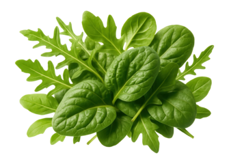 Fresh green arugula and spinach leaves with vibrant color and natural texture.