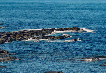 rocky shore of the Arctic Ocean without people