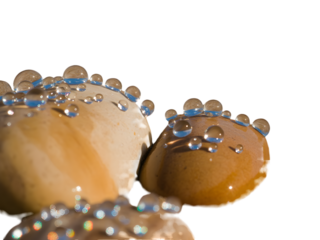 Water droplets on textured surfaces isolated on a transparent background macro