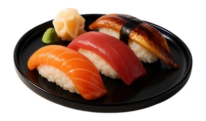Japanese cuisine sushi set with nigiri pieces.