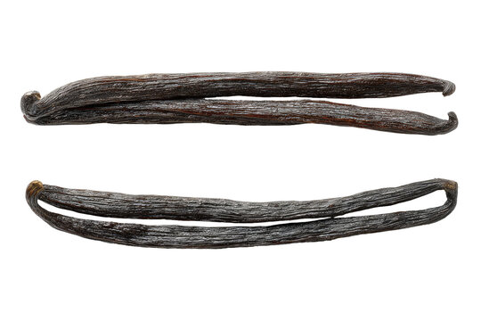 Two whole vanilla beans, dark brown,  ridged, and slightly textured,  presented horizontally against a black background