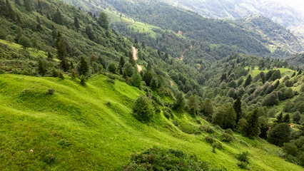 Lush Green Valley in the Pontic Mountains near Camlihemin, Rize, Turkiye