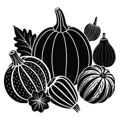 Black and white illustration of assorted gourds and leaves squash pumpkin