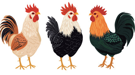Fototapeta premium Chicken Rooster Vector Graphic Design – Farm Animal Illustration