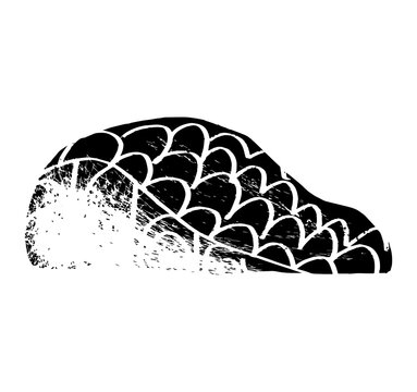 Salmon Fish isolated on white background. Fillet, Slice vector illustration