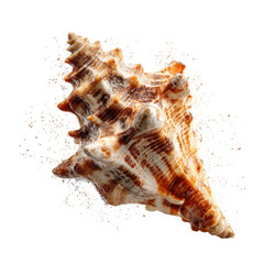 Obraz premium Detailed close-up of a spiral, textured seashell with brown and cream colors