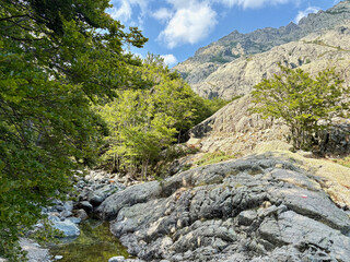 Ruisseau en Corse dans la for&ecirc;t de Vizzavona