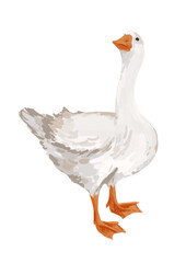 Hand drawn goose bird