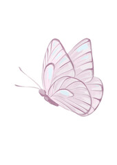 Hand drawn butterfly insect