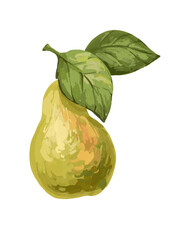 hand drawn pear fruit