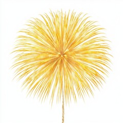 Golden Fireworks Explosion in the Night Sky , PNG isolated cut out image