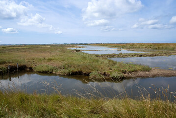 Marais salants, Eguille, 17, Charente Maritime, France