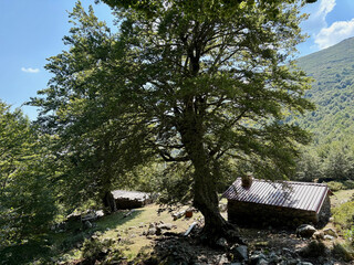 Les bergeries d'Alzeta en Corse