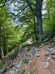 Sentier sur le GR20 Sud en Corse