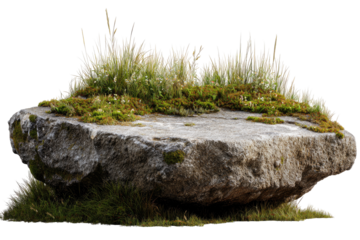 Flat, grey granite boulder with a carpet of green moss and grasses