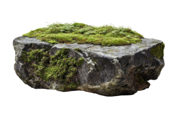 Large, flat rock covered in moss
