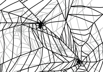 spider web background ilustration.eps