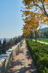 Autumn Promenade by the Water