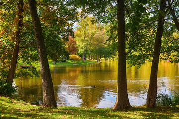 Scenic Park with Lake in Autumn