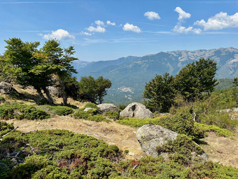 Montagnes corses entre le refuge de Prati et le refuge d'Usciolu sur le GR20