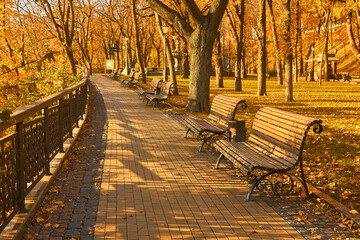 Golden Autumn Park Alley