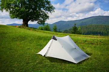 White tourist tent on lush, green hillside next to large, solitary tree under bright blue sky....