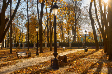 Golden Path in Autumn Park