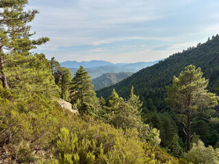 Sentier du GR20 avant l'arriv&eacute;e au col de Bavella