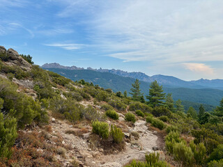 Sentier du GR20 avant l'arriv&eacute;e au col de Bavella