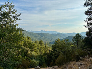 Sentier du GR20 avant l'arrivée au col de Bavella
