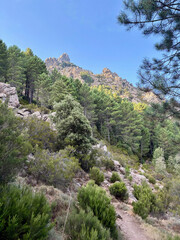 Sentier du GR20 avant l'arriv&eacute;e au col de Bavella
