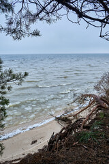 Cold Seascape with an Icy Shore