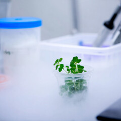 scientist in laboratory