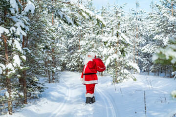 Authentic Santa Claus stands on the road in a winter snowy forest.