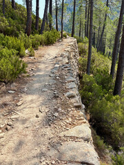 Voie romaine sur le GR20 Sud en Corse