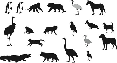 Animal silhouettes collection, diverse wildlife illustration, penguins, monkeys, birds, mammals, reptiles, nature design, vector art, artistic reference, black shapes
