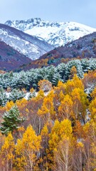 Autumn mountain landscape with snow-capped peaks