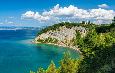 Panoramic view ad the beautiful Moon Bay, the Strunjan Nature Park, in Slovenia.