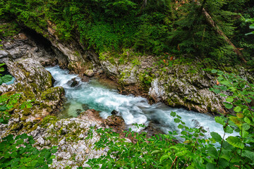 Scenic sight in the famous Vintgar Gorge, in Triglav National Park. Slovenia.