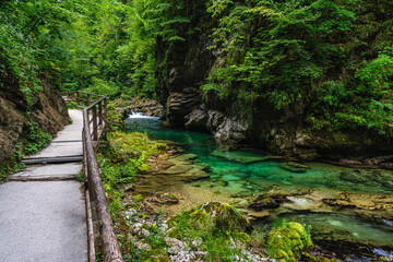 Scenic sight in the famous Vintgar Gorge, in Triglav National Park. Slovenia.