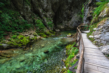 Scenic sight in the famous Vintgar Gorge, in Triglav National Park. Slovenia.