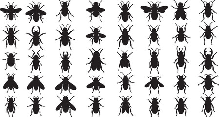 Diverse insect silhouettes collection beetle, insect, silhouette, beetle, fly, bee, wasp, bug, entomology, collection, black, white, graphic, illustration, design, pattern, repetition, variety, arthro