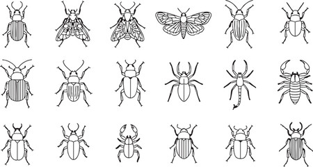 Insects and arachnids detailed line art collection, beetle, moth, fly, spider, scorpion, insect, arachnid, entomology, illustration, black and white, line drawing, detailed, collection, nature, wildli