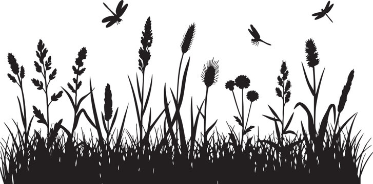 Tall grass and dragonflies in silhouette reeds cattails, grass, reeds, cattails, wildflowers, dragonflies, insects, flying, nature, silhouette, black, white, outdoor, summer, meadow, field, flora, fau