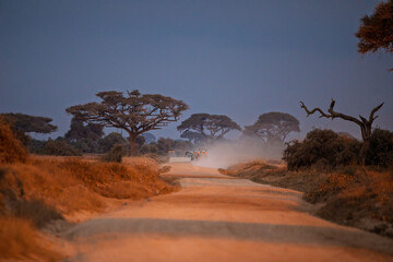 Safari Jeeps Driving Through Dusty Road in African Savannah at Dusk