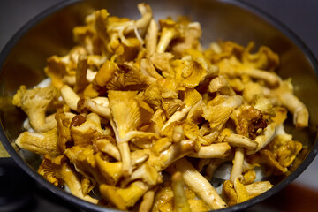 Fried chanterelle mushrooms served in a dark bowl for seasonal meals