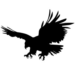 black Silhouette of an attacking eagle on a white background. Vector illustration. For your designs of tattoos, chevrons, pins in the style of wild nature